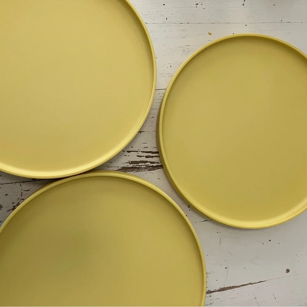Citrus Yellow Modern Melamine Dinner Plates